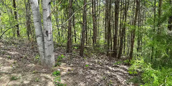 1430 Mountain Dreams Way
