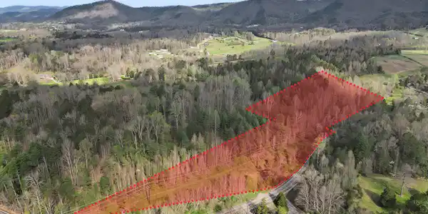 Image 3: 30_property line 4