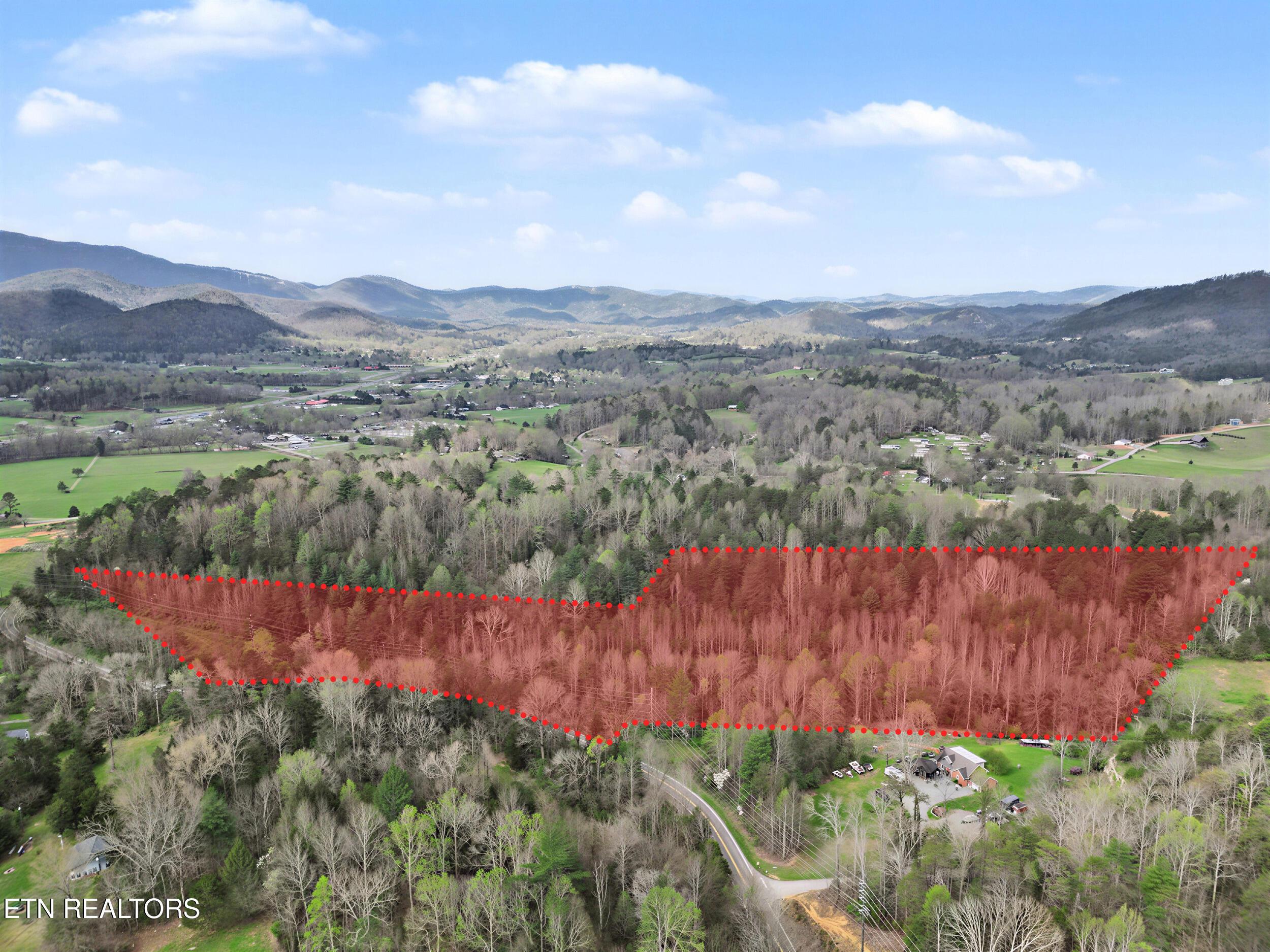 Image 4: 27_property line 1
