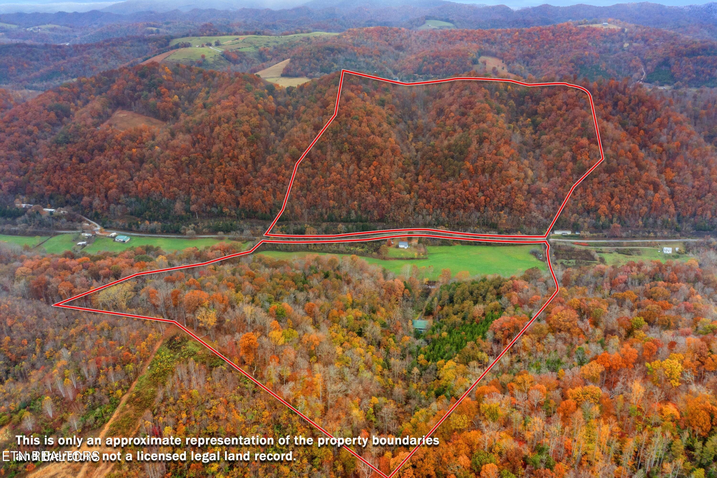 Image 2: B.jpg-SMALL