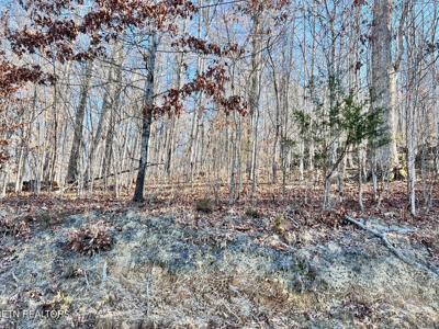 Tract 7 Bundren Mountain Rd