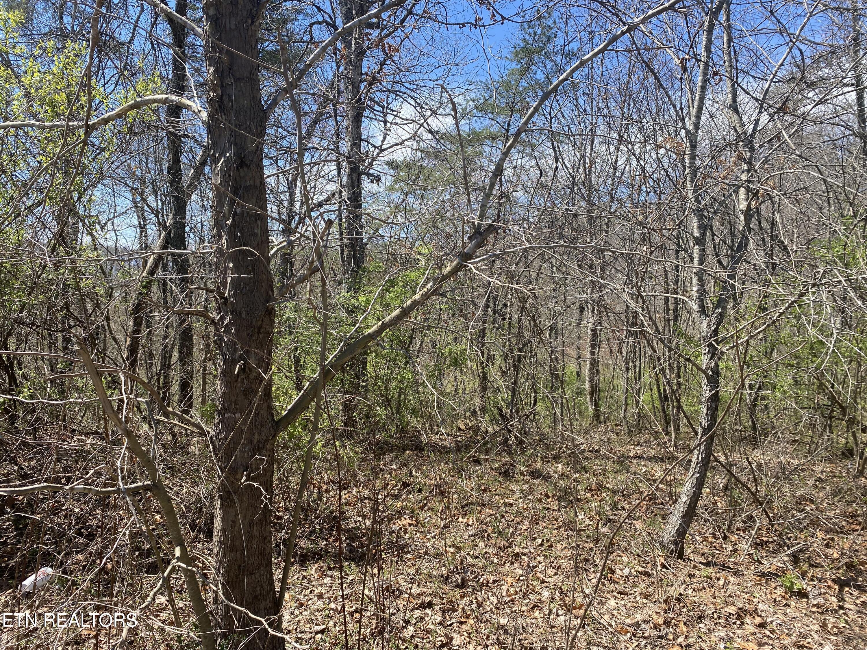 Image 2: HWY 127 LOT 6 PIC 2