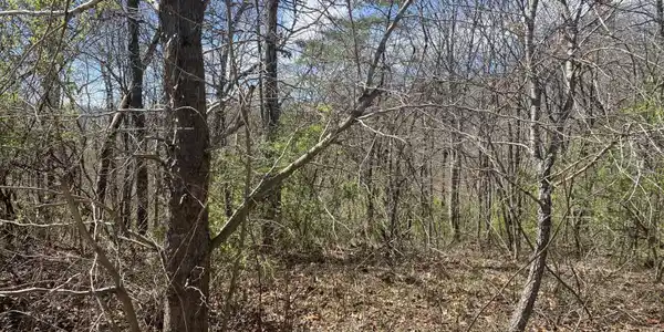 Image 2: HWY 127 LOT 6 PIC 2