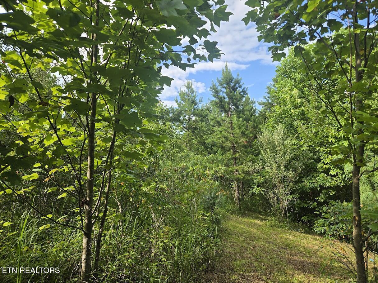 Image 4: 20250714_175817