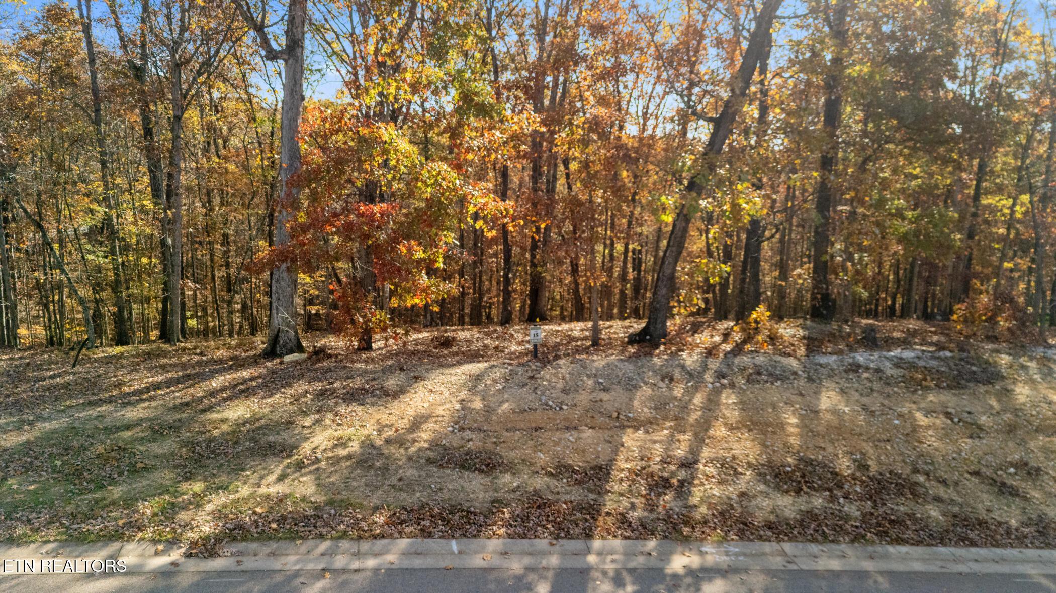 Image 3: dji_20251112095604_0700_d