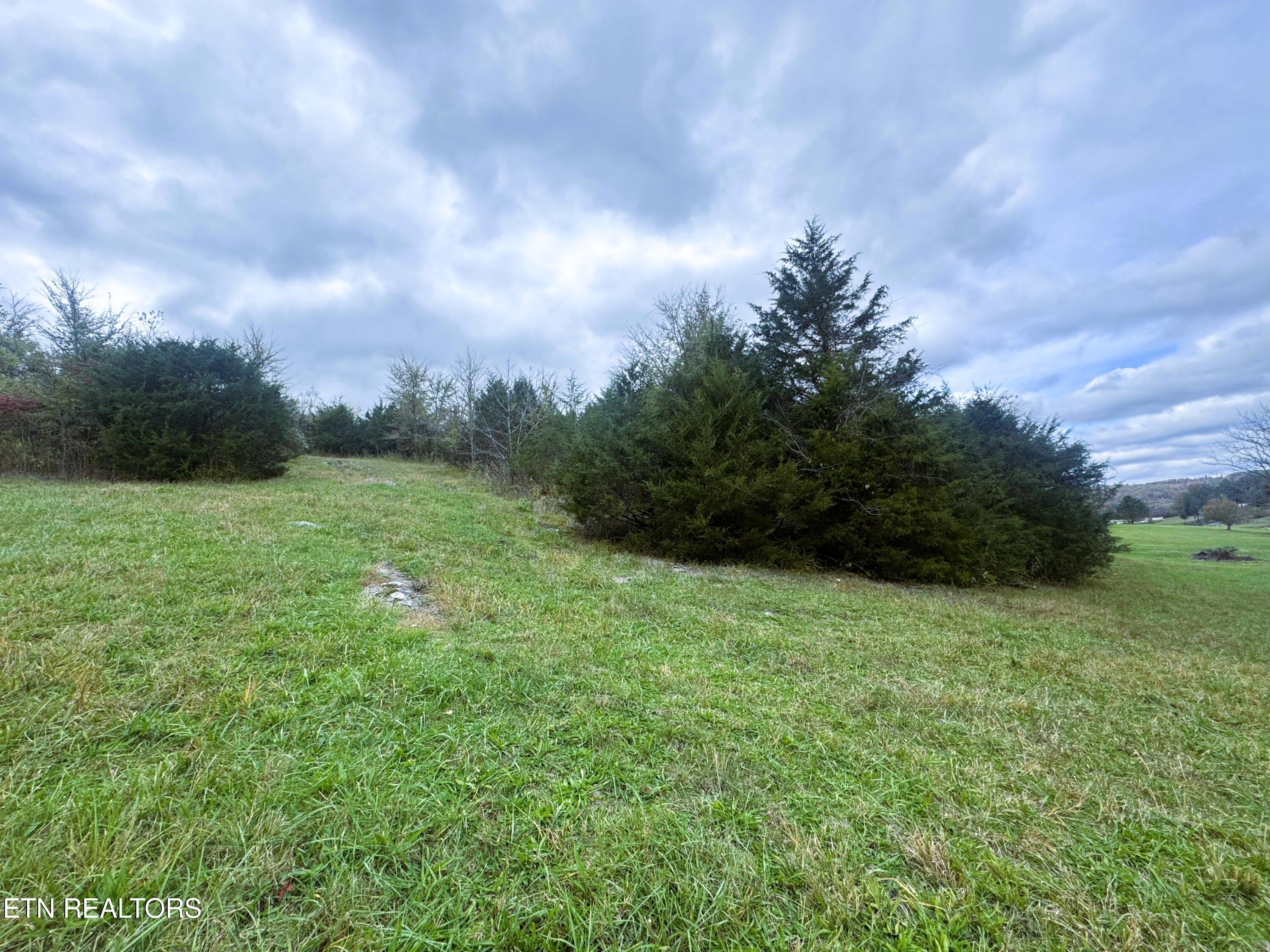 Image 4: Rear corner