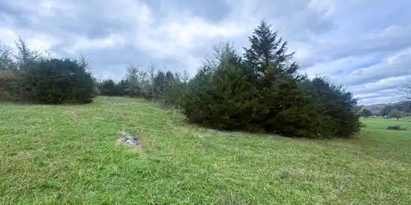 Image 4: Rear corner
