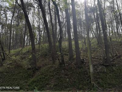 11044 Loop Rd