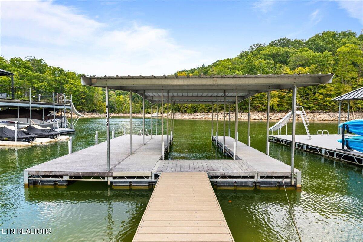 Image 3: Dock