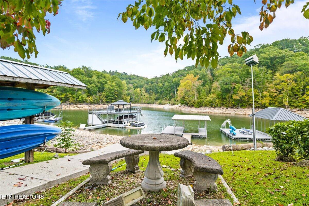 Image 4: Dock w permit