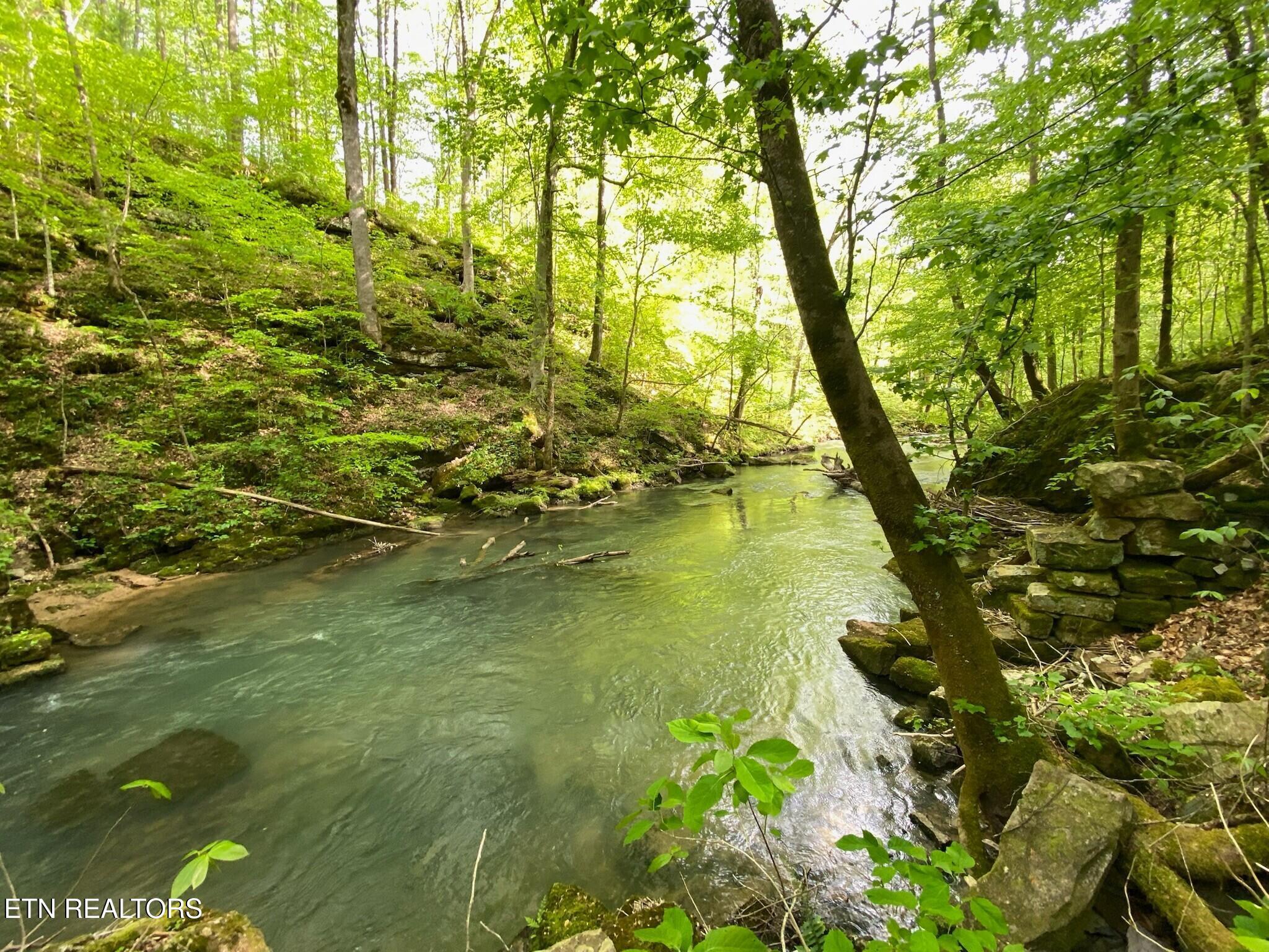 Image 1: Sequatchie River