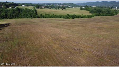 461 Alfred McCammon Rd Tract 10