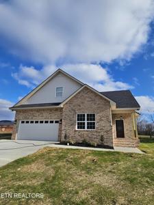 8258 Horseshoe Mesa Tr