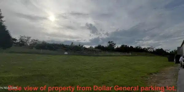 Image 3: 00 Bluejay DG1