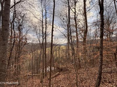 Mcgaha Hollow Rd