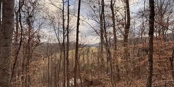 Mcgaha Hollow Rd