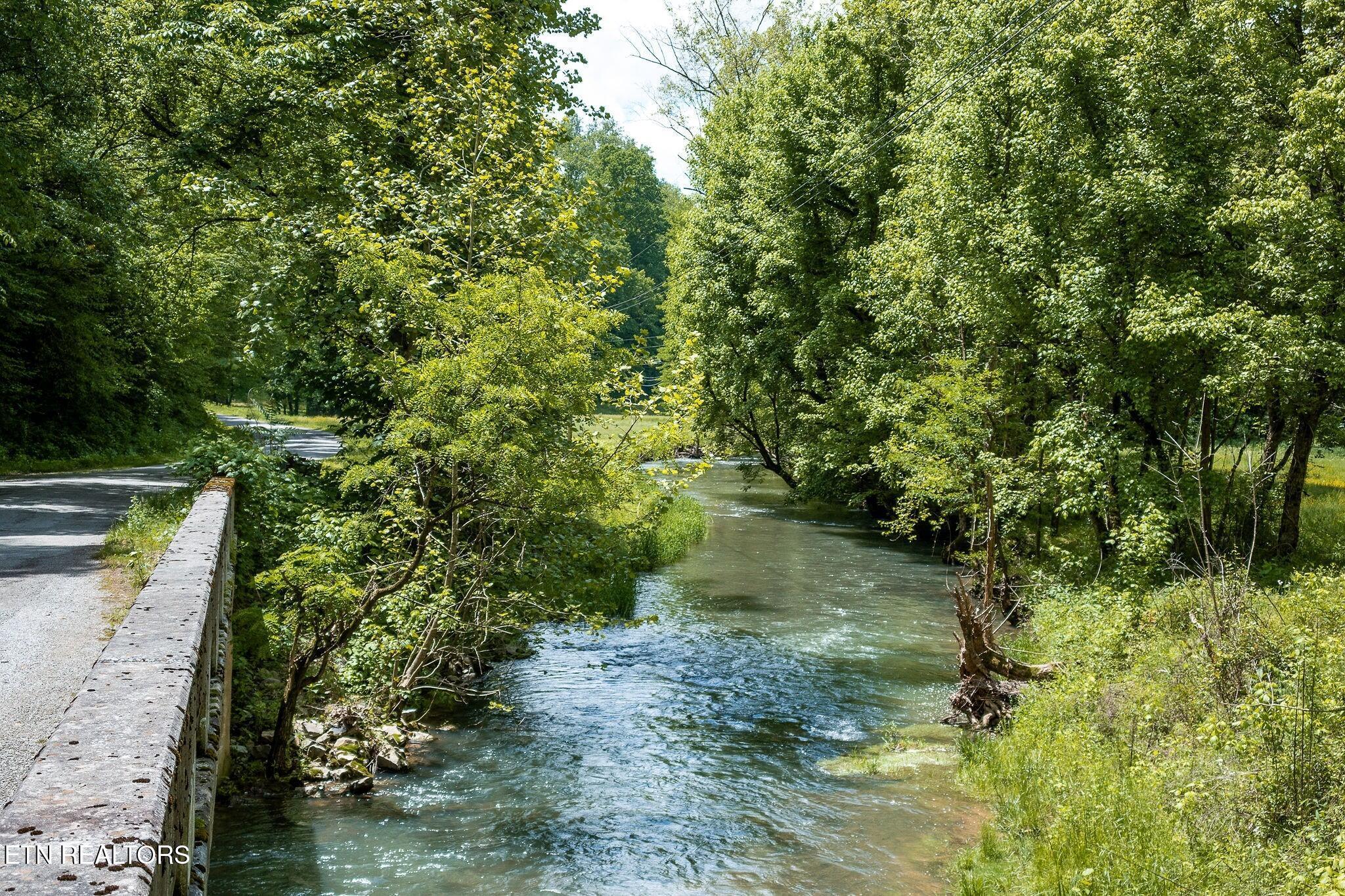 Image 2: bridge to stock trout