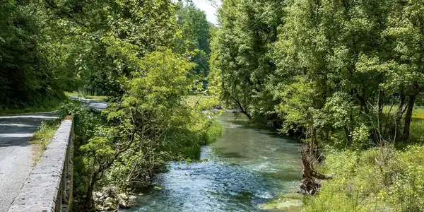 Image 2: bridge to stock trout