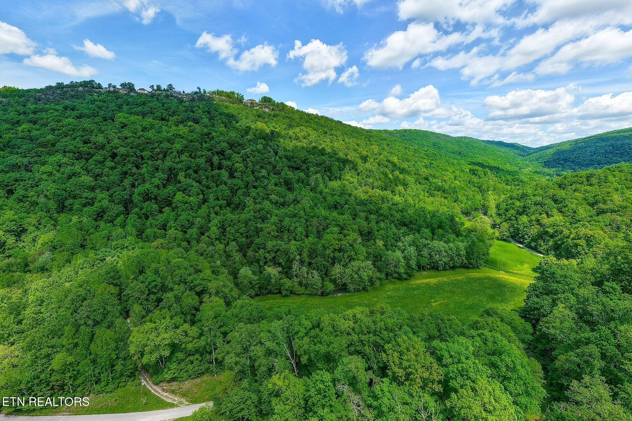 Image 3: 4acres with driveway bottom left