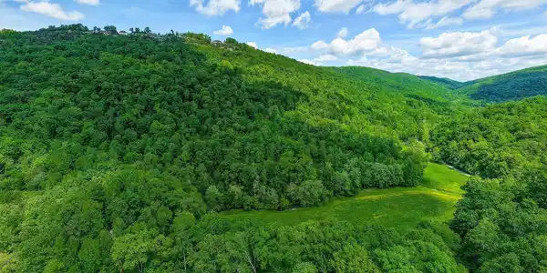 Image 3: 4acres with driveway bottom left