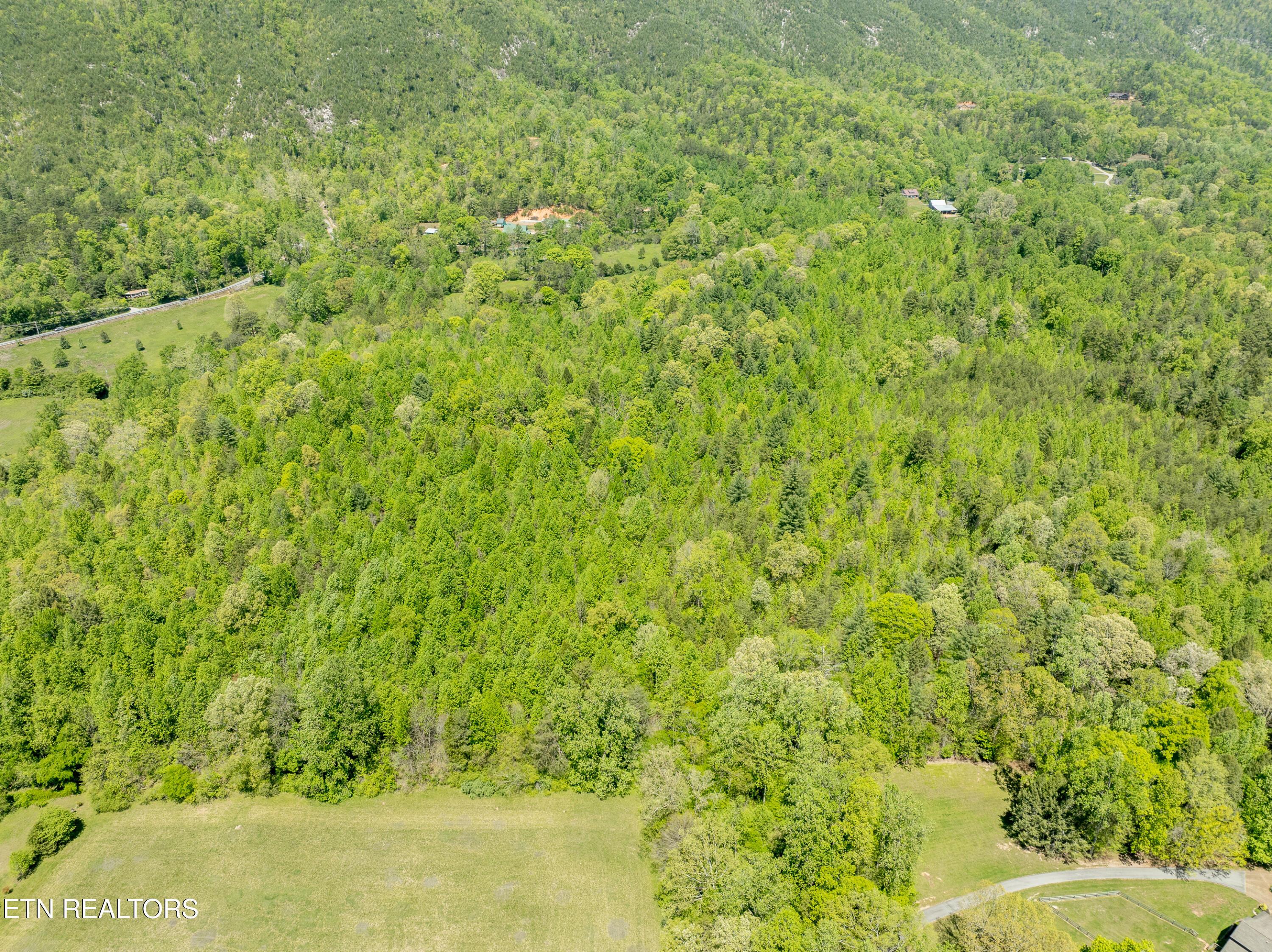 Image 4: Lots 4 and 5