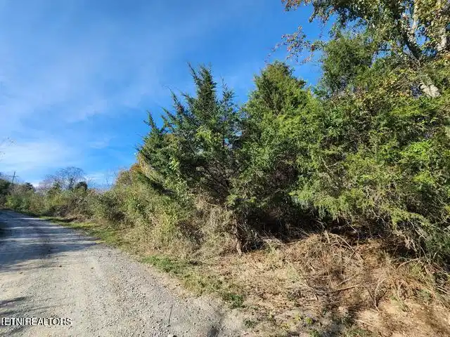 Image 1: s14