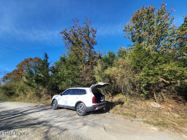 Image 2: s13