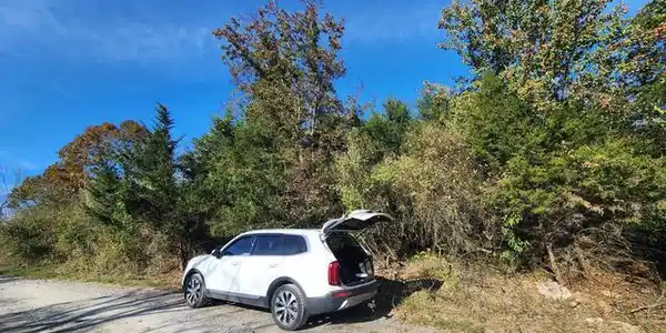 Image 2: s13