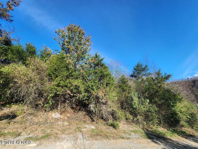 Image 3: s12