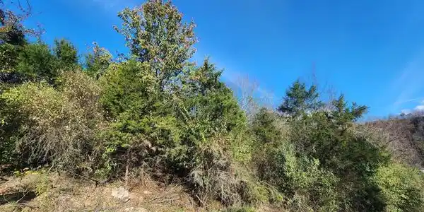 Image 3: s12