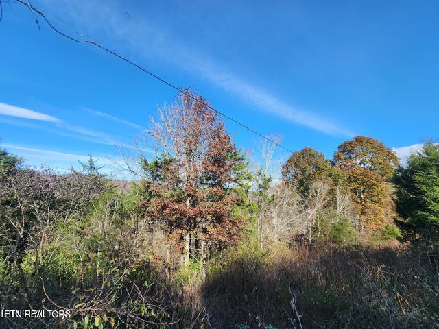 Image 4: s11