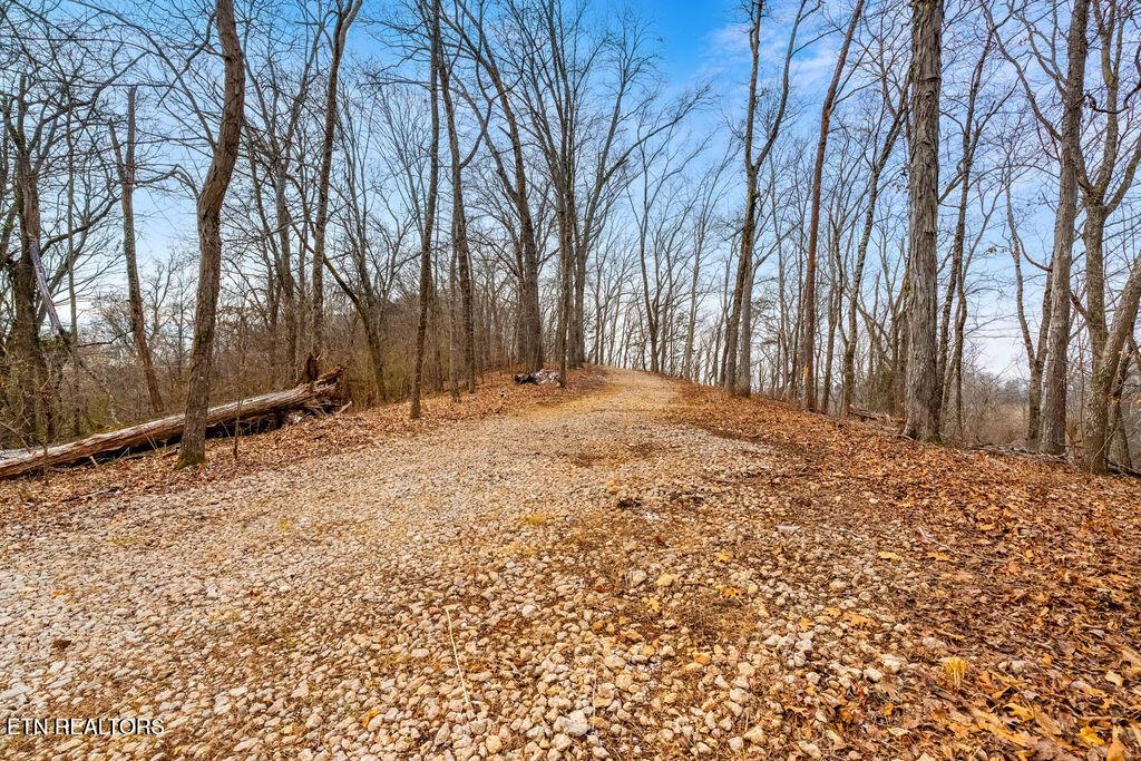 Image 3: Driveway to Top Homesite
