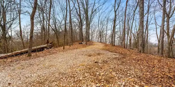 Image 3: Driveway to Top Homesite
