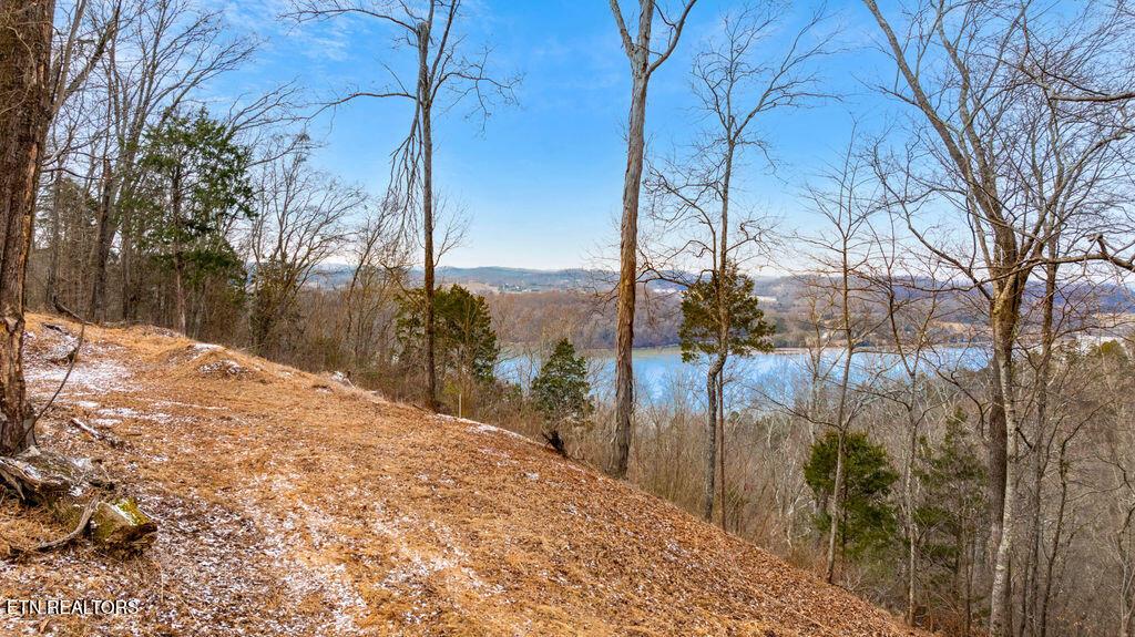 Image 4: View from Top Homesite