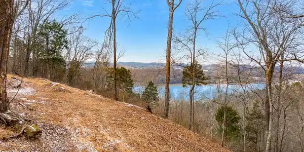 Image 4: View from Top Homesite