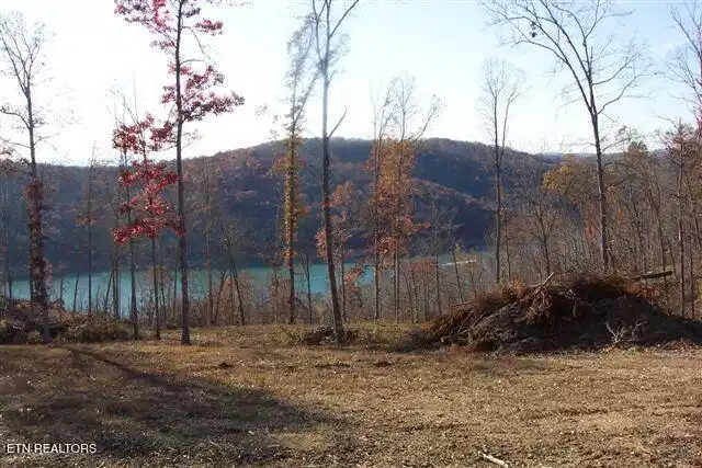 Image 1: whitetail lane