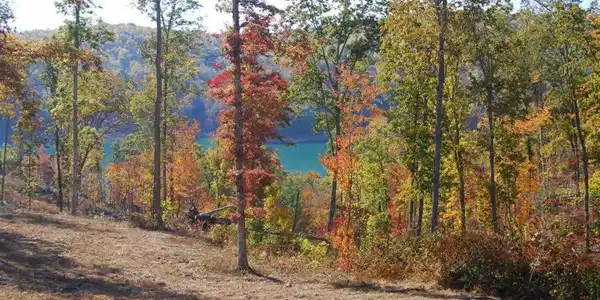 Image 2: Looking West