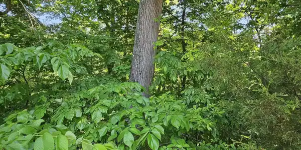 Image 2: 20260513_153558 (1)