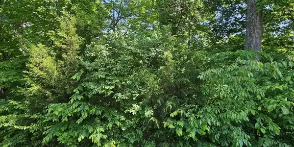 Image 3: 20260513_153522