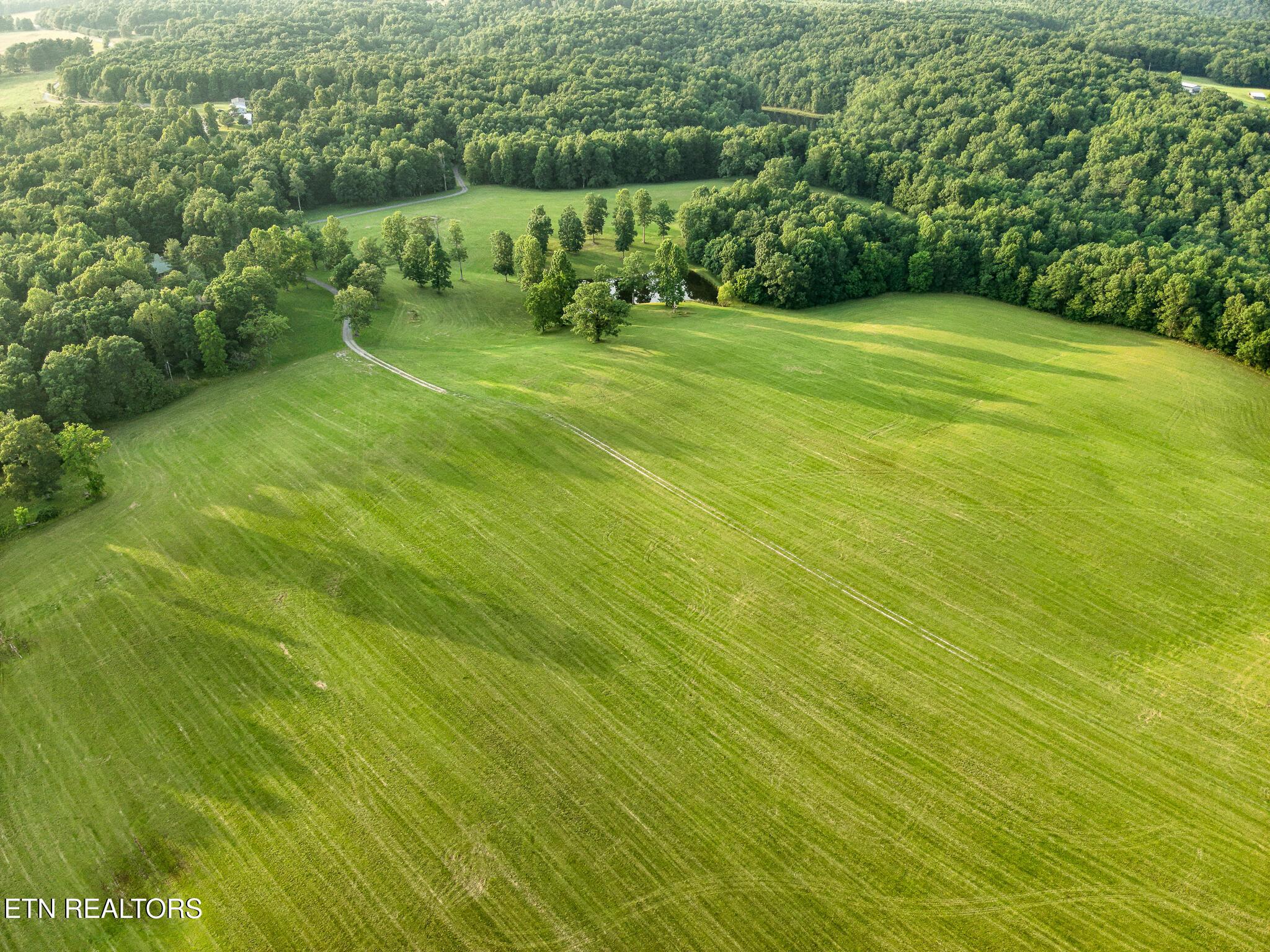 Image 4: DJI_20250610185542_0018_V