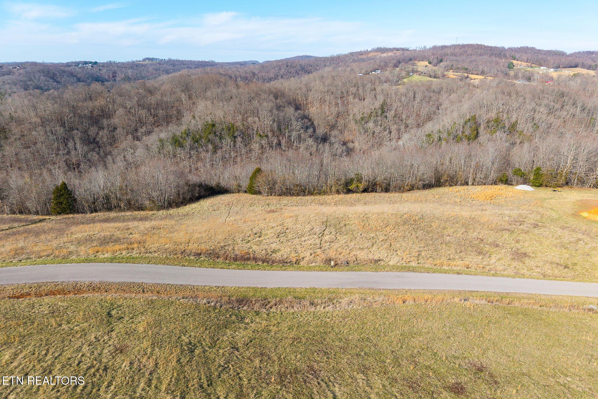 Image 2: DJI_20260117032602_0112_D