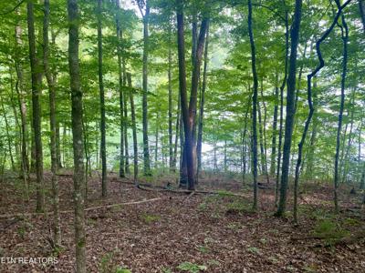 Lot #130 Hickory Pointe Lane