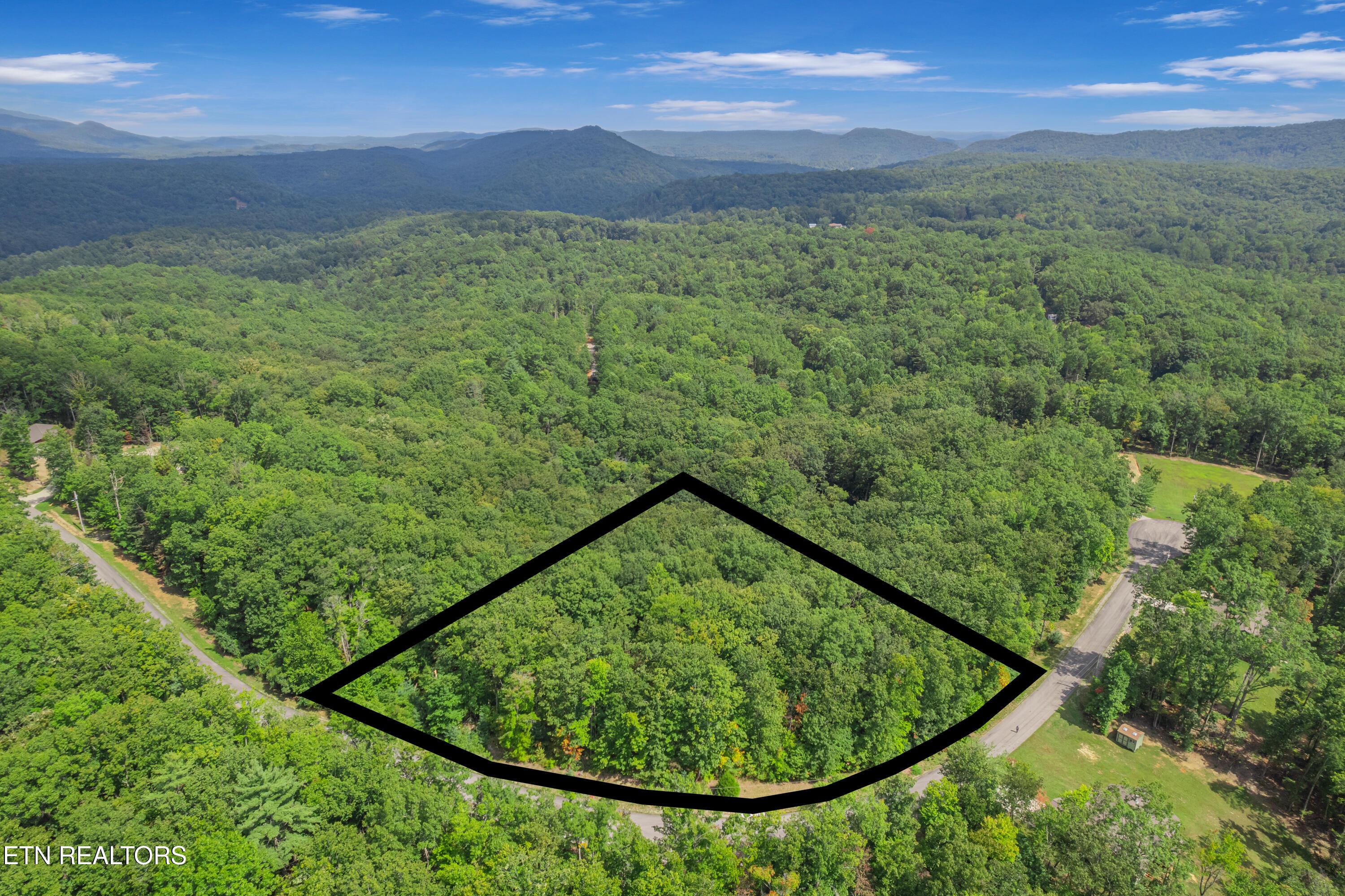 Image 1: 313 country wood pl-104