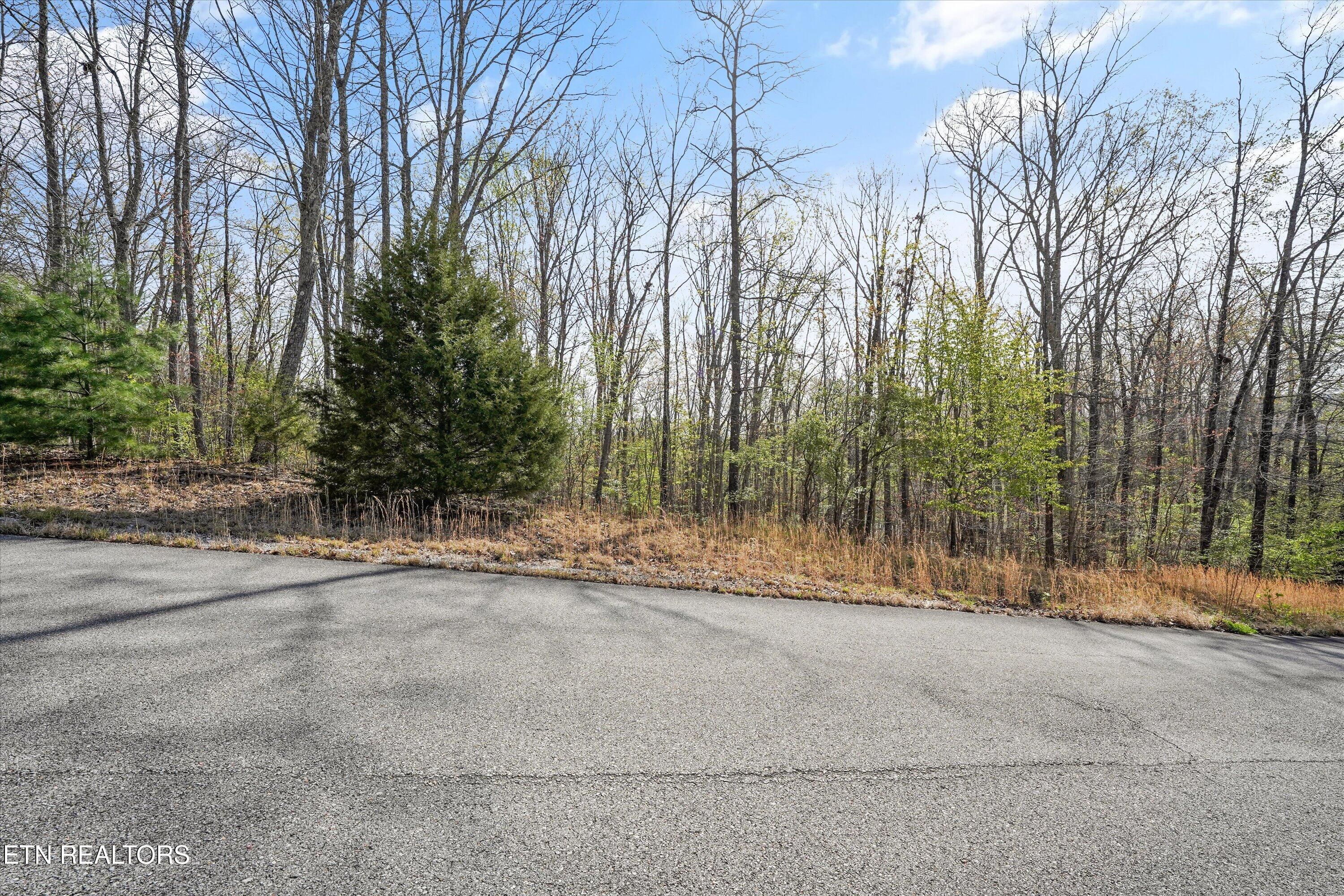 Image 3: Country Wood Place