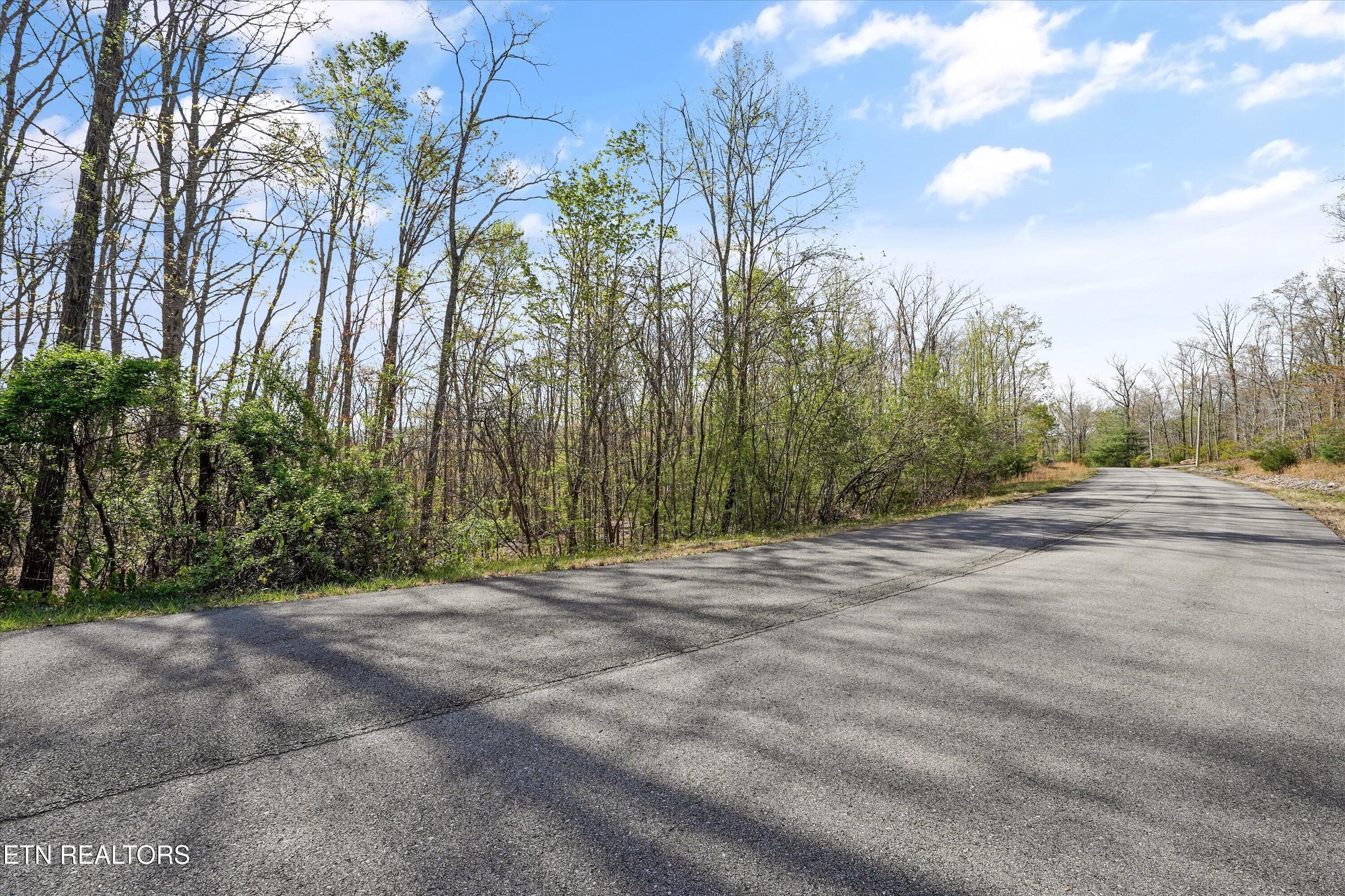 Image 4: 313 Country Wood Pl02