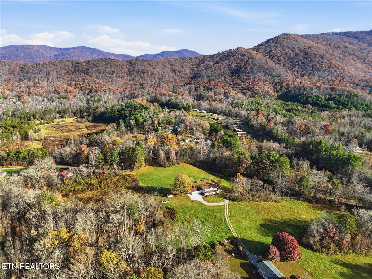 Image 4: 56-014_DJI_20251113093317_0249_D