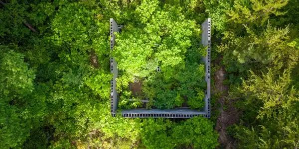 Image 2: DJI_20260519102912_0083_D-HDR
