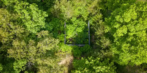 Image 3: DJI_20260519103010_0093_D-HDR