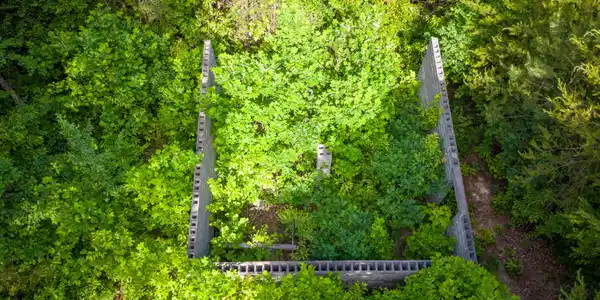 Image 4: DJI_20260519103048_0098_D-HDR