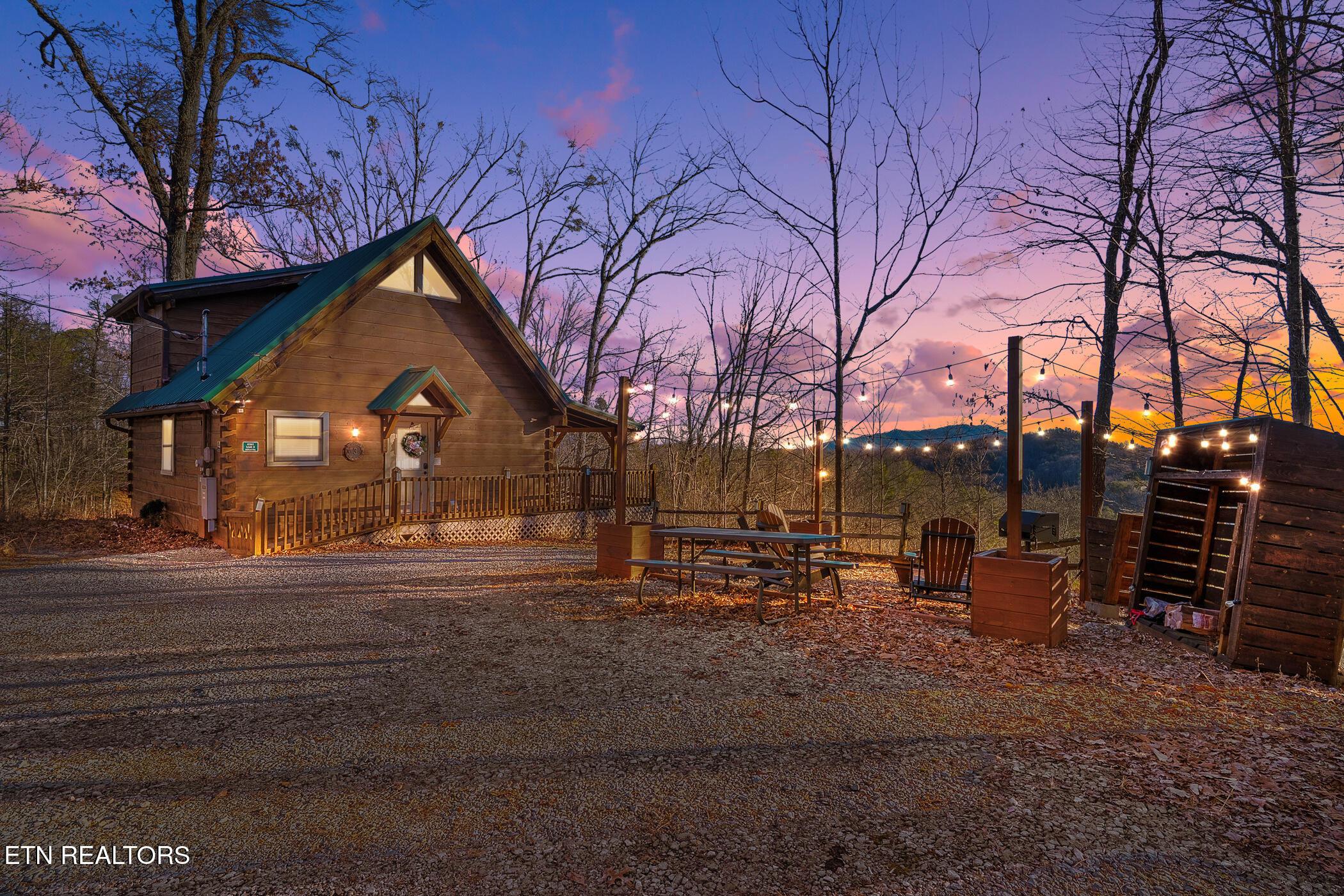 Image 1: dsc08179_vt